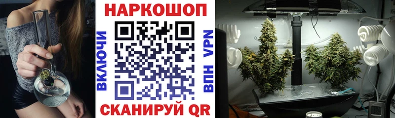 Наркотические вещества Норильск КОКАИН  Псилоцибиновые грибы  Кодеин  APVP  ГАШИШ 