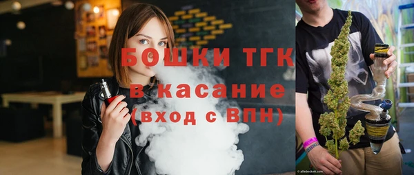 дурь Гусев