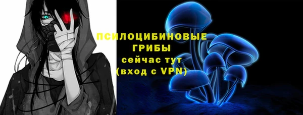 ECSTASY Гусиноозёрск