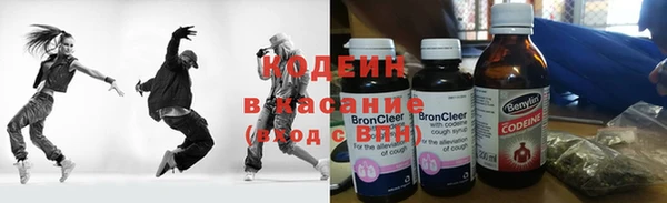 дурь Гусев