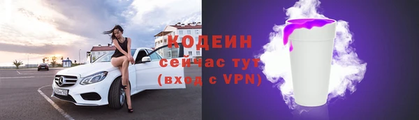 дурь Гусев