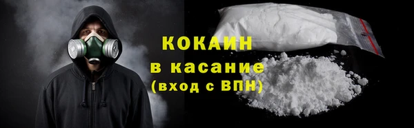 дурь Гусев
