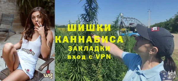 дурь Гусев