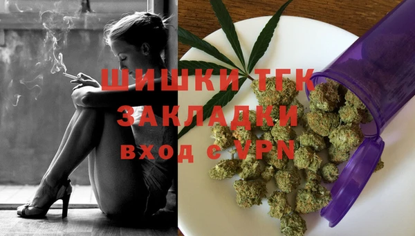 дурь Гусев