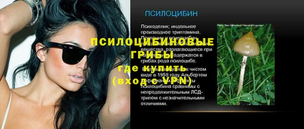 синтетический гашиш Гусь-Хрустальный