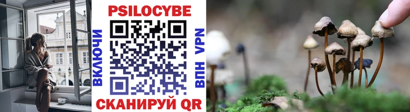 Псилоцибиновые грибы прущие грибы  Норильск 